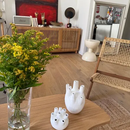 Cosy Au Coeur De Saint Michel Homestay *